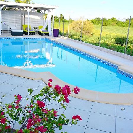 Villa Amethyste Avec Grande Piscine Privee, Jardin Clos, Parking Prive Le Robert Luaran gambar